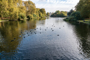 Il lago di St James's Park, a due passi dall'Abbazia di Westminster